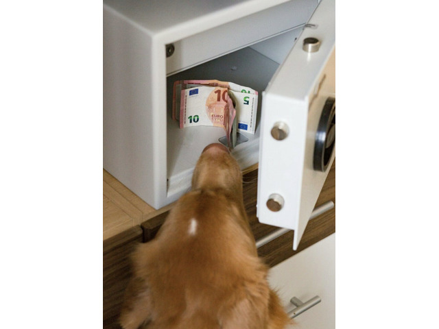 Unsere Hunde finden Ihr Geld!! „Geldscheinspürhund.de“